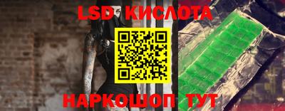 шишки Камышлов