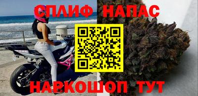 тгк Канаш
