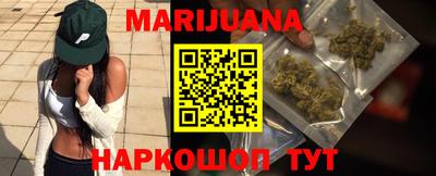 шишки Камышлов