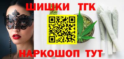 шишки Камышлов